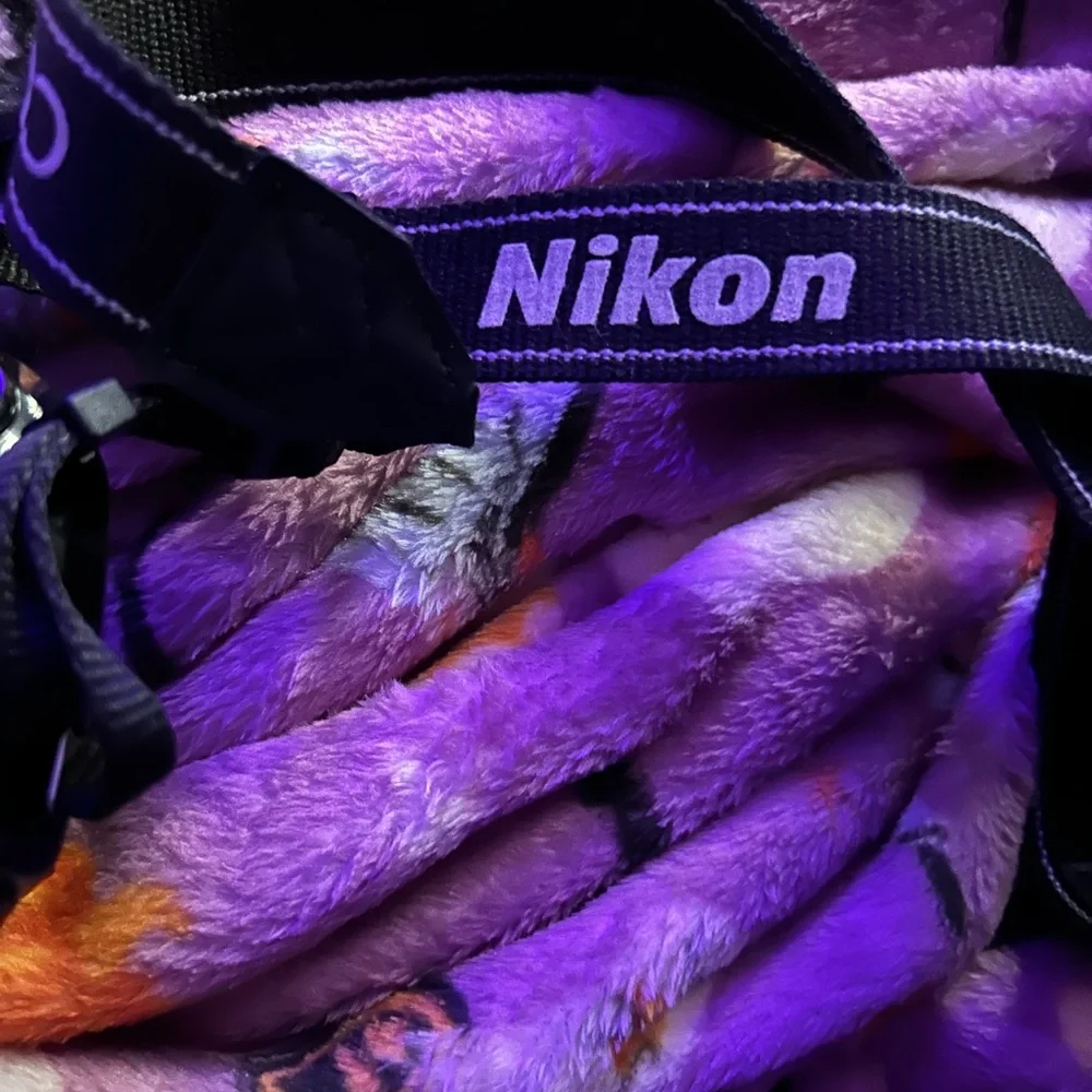 Nikon Black Digital Camera